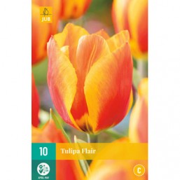 10 Tulipes Flair
