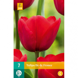 7 Tulipes Ile De France