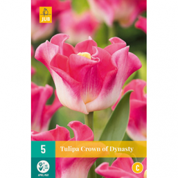 5 Tulipes Crown Of Dynasty
