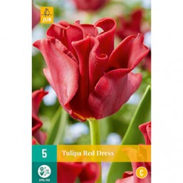 5 Tulipes Red Dress