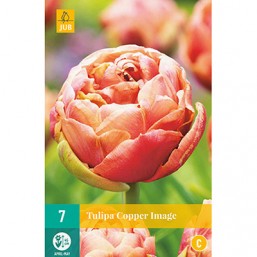 7 Tulipes Copper Image