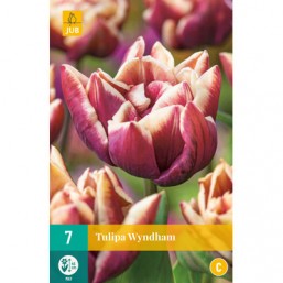7 Tulipes Wyndhan