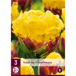 3 Tulipes Ice Cream Banana