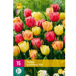 15 Tulipes Symbiose Mix