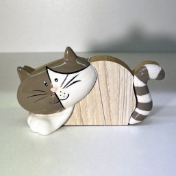 Chat Cooper Pm