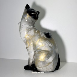 Chat Dore Geneve H19