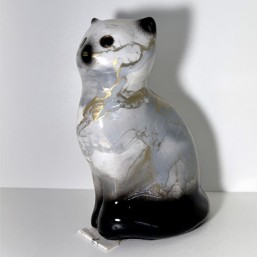Chaton Assis Geneve
