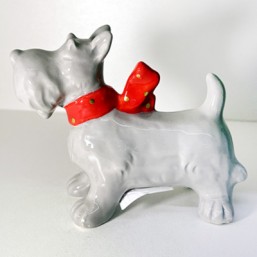 Chien Scottish Gm