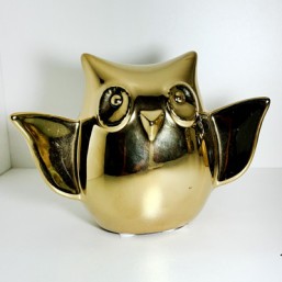 Chouette Ever 2 Ailes