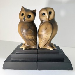 Serre Livres Chouettes