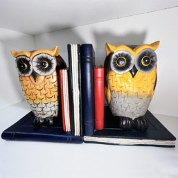 Serre Livres Hiboux