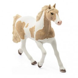 Jument Paint Horse