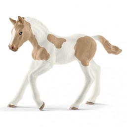 Poulain Paint Horse