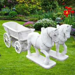 Attelage + 2 chevaux