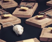 Anti-nuisibles et pièges