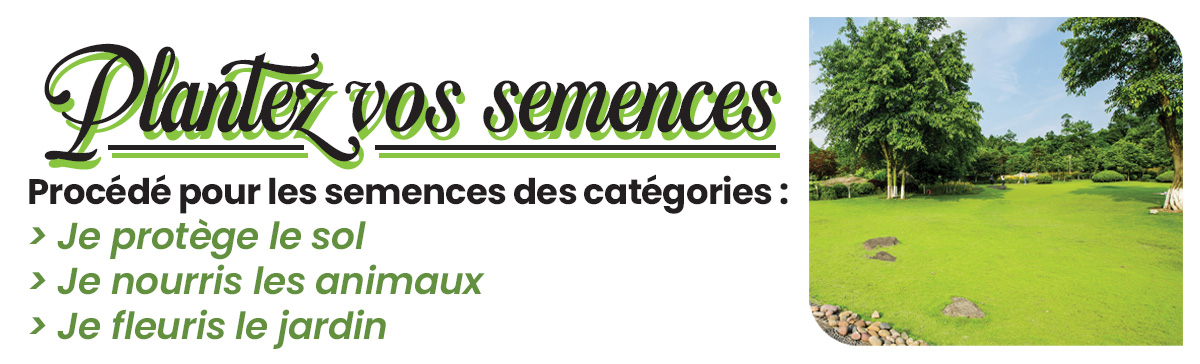 gazons semences tuto 1