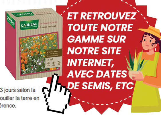 gazons semences tuto 2